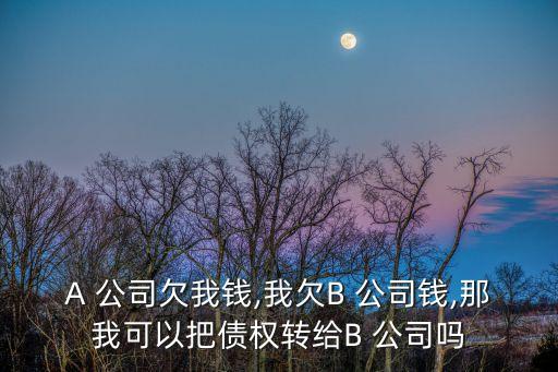 A 公司欠我錢,我欠B 公司錢,那我可以把債權轉給B 公司嗎