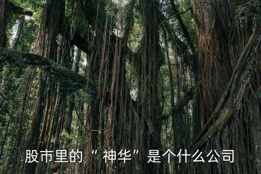 股市里的“ 神華”是個什么公司
