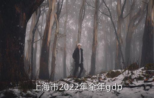  上海市2022年全年gdp