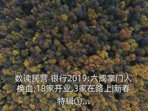數(shù)讀民營(yíng) 銀行2019:六成掌門人換血,18家開(kāi)業(yè),3家在路上|新春特輯①...