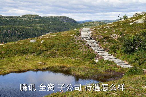 全資子公司經理待遇,國企全資子公司和總部待遇一樣嗎
