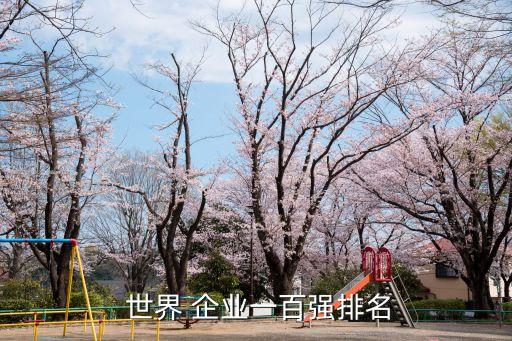  世界 企業(yè)一百強(qiáng)排名