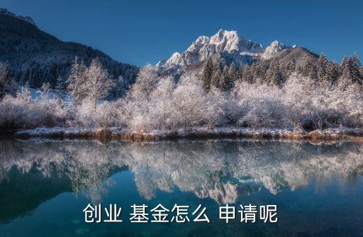 創(chuàng)業(yè) 基金怎么 申請呢