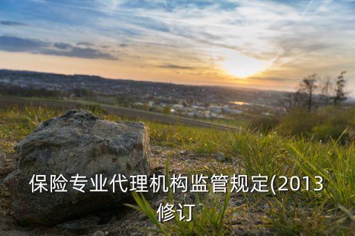 保險專業(yè)代理機(jī)構(gòu)監(jiān)管規(guī)定(2013修訂