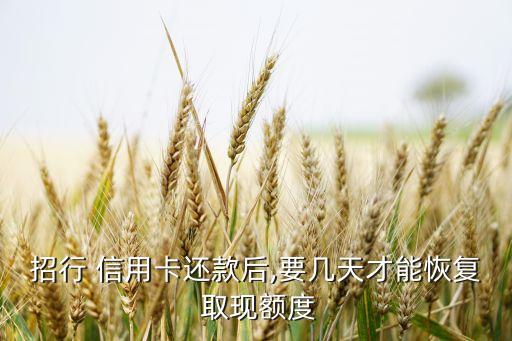 招行 信用卡還款后,要幾天才能恢復 取現(xiàn)額度