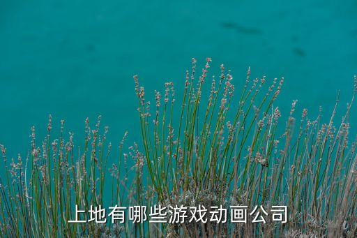 上地有哪些游戲動(dòng)畫(huà)公司