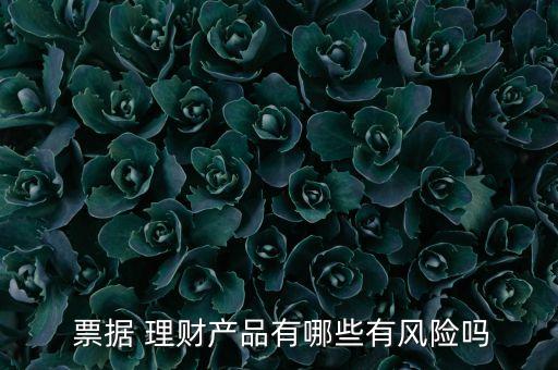  票據(jù) 理財(cái)產(chǎn)品有哪些有風(fēng)險(xiǎn)嗎
