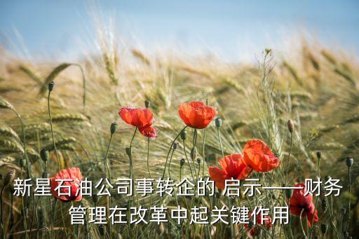新星石油公司事轉(zhuǎn)企的 啟示——財(cái)務(wù)管理在改革中起關(guān)鍵作用