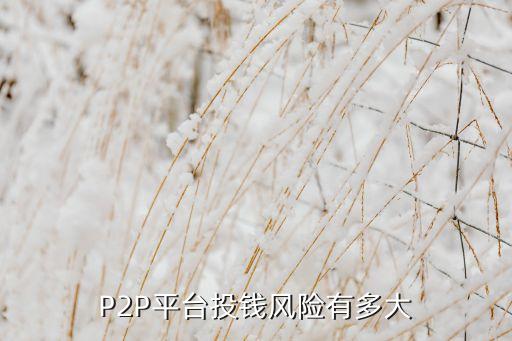 P2P平臺(tái)投錢(qián)風(fēng)險(xiǎn)有多大