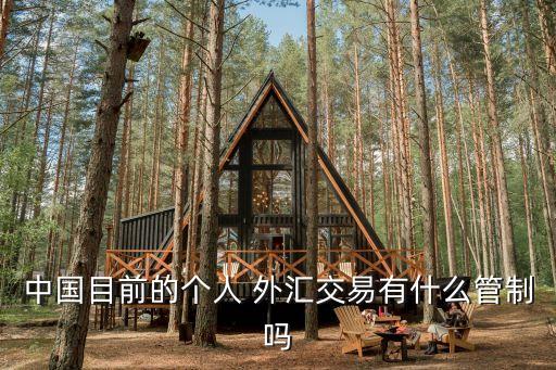 中國目前的個(gè)人 外匯交易有什么管制嗎