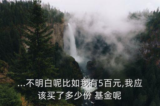 ...不明白呢比如我有5百元,我應該買了多少份 基金呢