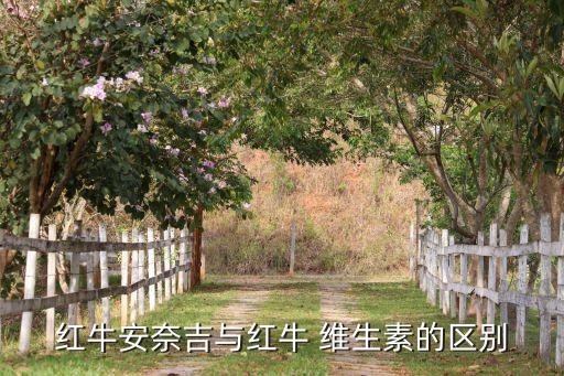 紅牛安奈吉與紅牛 維生素的區(qū)別