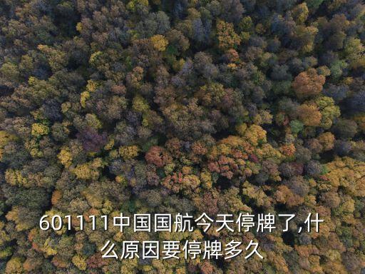 601111中國國航今天停牌了,什么原因要停牌多久