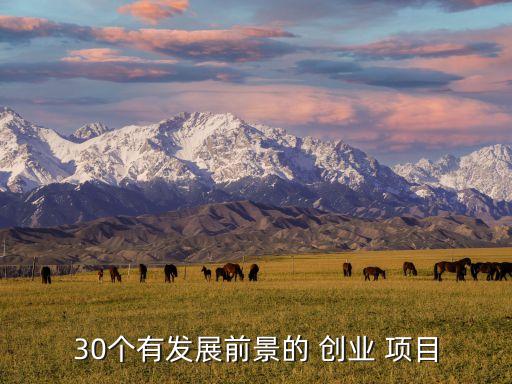 30個有發(fā)展前景的 創(chuàng)業(yè) 項目