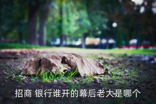 招商 銀行誰(shuí)開(kāi)的幕后老大是哪個(gè)