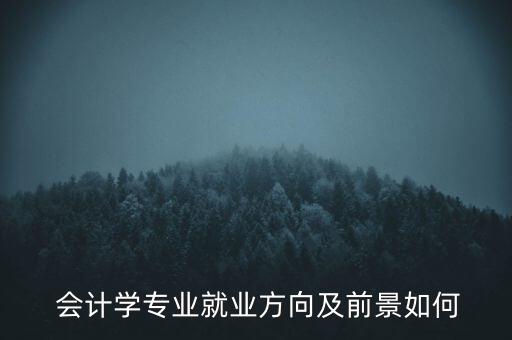  會計學(xué)專業(yè)就業(yè)方向及前景如何