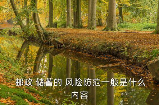  郵政 儲蓄的 風險防范一般是什么內(nèi)容