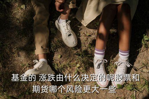 基金漲跌看什么