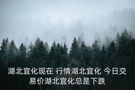 湖北宜化現(xiàn)在 行情湖北宜化 今日交易價(jià)湖北宜化總是下跌