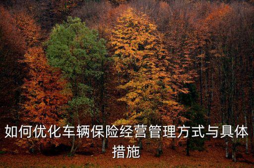 如何優(yōu)化車輛保險經(jīng)營管理方式與具體措施