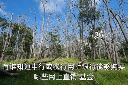 有誰(shuí)知道中行或農(nóng)行網(wǎng)上銀行能夠購(gòu)買哪些網(wǎng)上直銷 基金