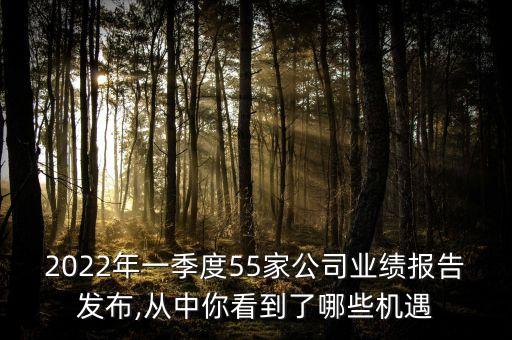 2022年一季度55家公司業(yè)績報(bào)告發(fā)布,從中你看到了哪些機(jī)遇