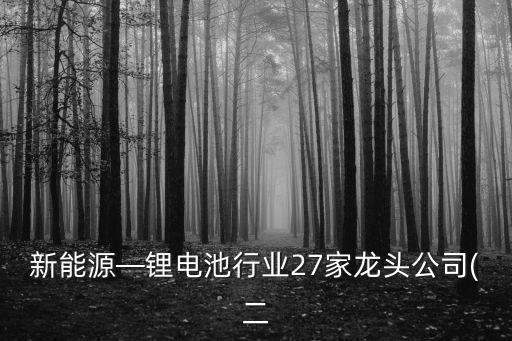 洛陽礦業(yè)集團(tuán)納米高科有限公司,洛陽有色礦業(yè)集團(tuán)有限公司董事長