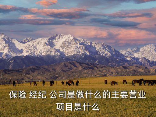 保險經紀公司是金融企業(yè)嗎