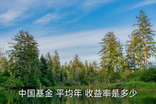 中國基金 平均年 收益率是多少