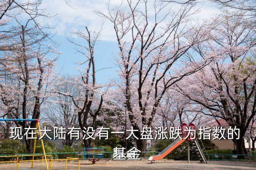 現(xiàn)在大陸有沒(méi)有一大盤漲跌為指數(shù)的 基金
