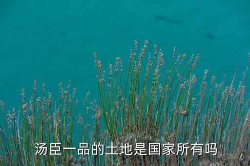 湯臣一品的土地是國(guó)家所有嗎
