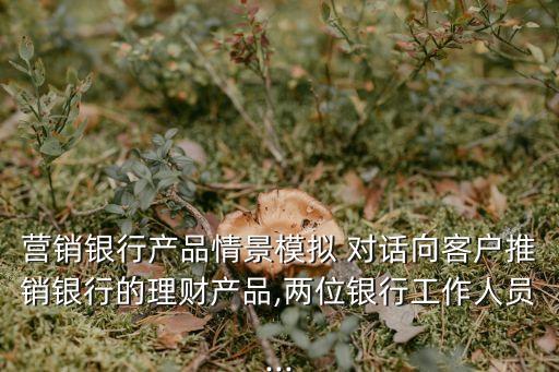 營銷銀行產(chǎn)品情景模擬 對話向客戶推銷銀行的理財產(chǎn)品,兩位銀行工作人員...