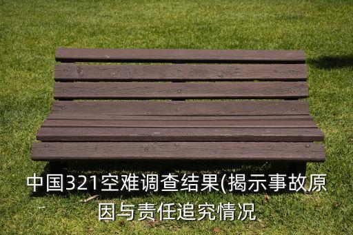 中國(guó)321空難調(diào)查結(jié)果(揭示事故原因與責(zé)任追究情況