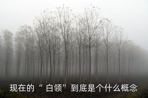 中國(guó)白領(lǐng)增長(zhǎng),中國(guó)女性白領(lǐng)人數(shù)