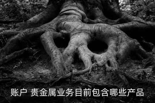 賬戶(hù) 貴金屬業(yè)務(wù)目前包含哪些產(chǎn)品