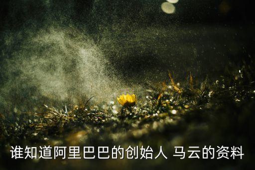 誰(shuí)知道阿里巴巴的創(chuàng)始人 馬云的資料