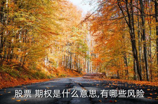  股票 期權是什么意思,有哪些風險