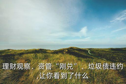 理財(cái)觀察、資管“剛兌”、垃圾債違約,讓你看到了什么