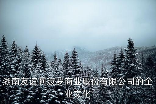 友阿集團副總裁崔向東
