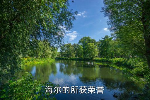 海爾的所獲榮譽
