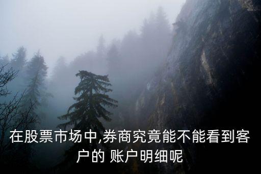 在股票市場(chǎng)中,券商究竟能不能看到客戶的 賬戶明細(xì)呢
