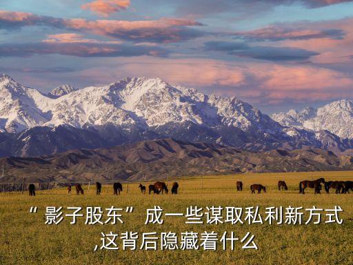 “ 影子股東”成一些謀取私利新方式,這背后隱藏著什么