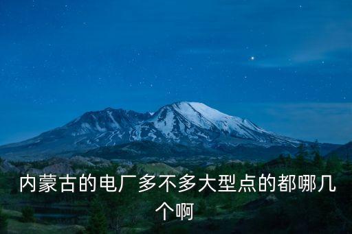  內(nèi)蒙古的電廠多不多大型點的都哪幾個啊