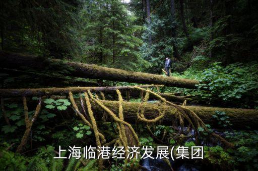 上海臨港經(jīng)濟(jì)發(fā)展(集團(tuán)