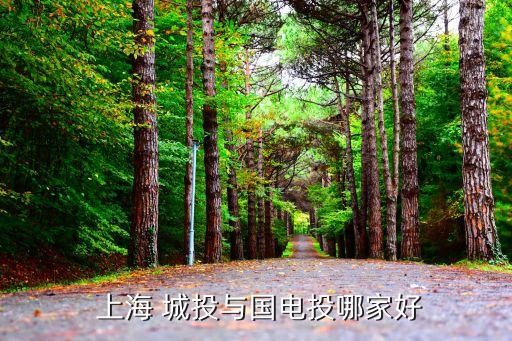  上海 城投與國電投哪家好