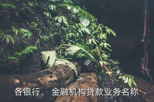 各銀行、 金融機(jī)構(gòu)貸款業(yè)務(wù)名稱