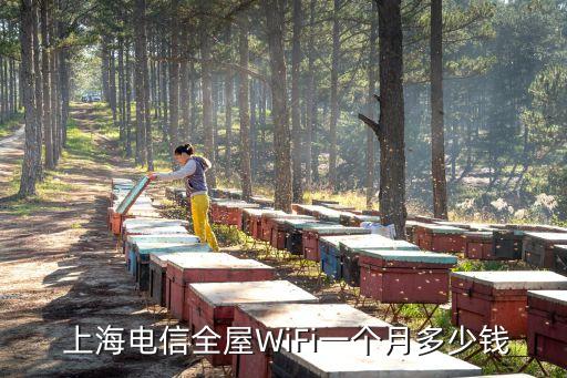 上海合農(nóng)網(wǎng)絡,上海曲合網(wǎng)絡開發(fā)公司