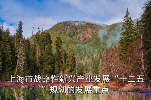 上海市戰(zhàn)略性新興產(chǎn)業(yè)發(fā)展“十二五”規(guī)劃的發(fā)展重點