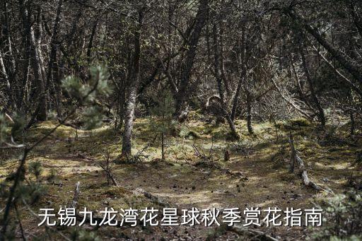 無錫九龍灣花星球秋季賞花指南