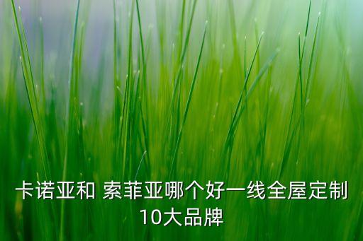 卡諾亞和 索菲亞哪個(gè)好一線全屋定制10大品牌